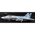 1/72 F-14USN???????????Fallon NAS